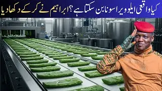 Can Aloe Vera Really Turn Into Gold? Ibrahim&rsquo;s Shocking Success Story | Aloe Vera in Pakistan
