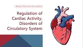 Regulation of Cardiac Activity | Disorders of Circulatory System | Body Fluid and Circulation | NEET