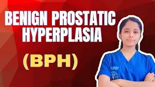 Benign Prostatic Hyperplasia (BPH) | Causes, Symptoms & Management |