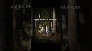 Argyle was born different #argyle #jonathan #strangerthings #will #eleven #steve