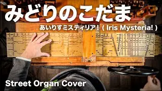 【みどりのこだま/あいりすミスティリア！ ( Iris Mysteria! ) 】手回しオルガンアレンジ/StreetOrgan Cover(Flute Type)