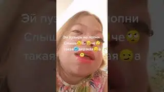 царица дельфинов #дельфины #царица #short #shorts #рекомендации #мемы #приколы #fyp #funnyvideo #mem