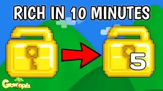 WL TO 5 WLS ! HOW TO GET RICH FOR NEWBIE - Growtopia