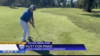Haven Humane Society hosts 6th annual Putt 4 Paws golf tournament