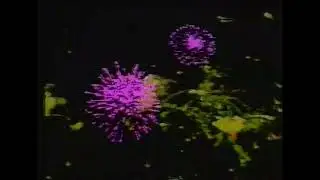 WOR-TV Channel 9 New Jersey I Station ID & The Big Preview Intro (1978)