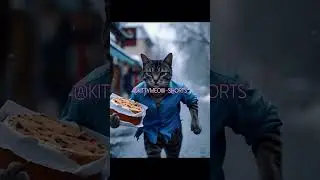 The Baker&rsquo;s Kindness 🥖 A Heartwarming Cat Story 💛 #catstory #kindness #cutecats #kittymeowshorts