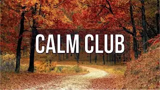 Relaxing Meditation Music | 432Hz Deep Healing | Cleansing Frequency Music | Calm Club