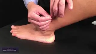 Yizhong (T 77.05), Erzhong (T 77.06), Sanzhong (T 77.07): Master Tung Needling Technique