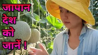 Japan amazing facts in Hindi
