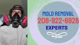 Mold Removal Boise-affordable 208-922-6928  Mold Remediation
