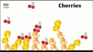 Learn Fruits Names in English | Fruits | List of Fruits | Name of Fruits - Starting with C