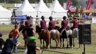 Championnats de France Lamotte-Beuvron 2013 - Junior 1 - Les Poneys d'Enfer