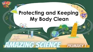 P.1 | Science | Protecting and Keeping My Body Clean
