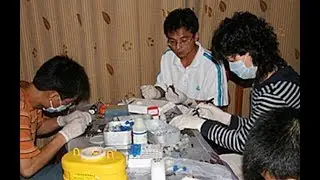 Wuhan virus lab cover-up: Photos of scientists with little protection handling bats