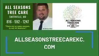 All Seasons Tree Care - Emergency Tree Service