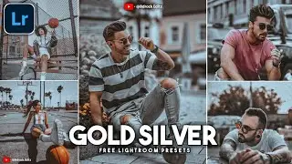 Gold Silver Lightroom free presets | Lightroom dng presets |Gold Silver Presets