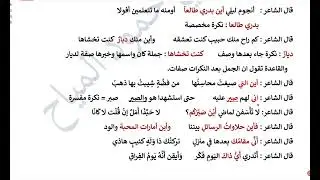 الاستفهام 7