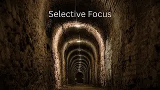 Selective Focus: Why Doing Less Creates More Progress