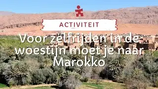 Zelf rijden in Marokko | Riksja Travel