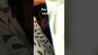 Pov tu joue a cache cache #positions #music #song #humour #cover