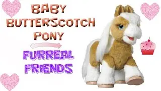 Furreal Friends BABY BUTTERSCOTCH My Magical SHOW PONY  🐹🐴