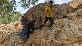 Tayyaba and her son's efforts to collect firewood and build a fire in the heart of the mountain!