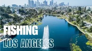 Exploring Downtown Los Angeles Park Ponds for Bass (Echo Park)