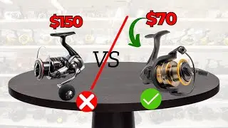Affordable Reels with Smooth Drag - Buying Guide!