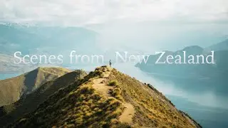 Scenes from New Zealand | Thomas Hill