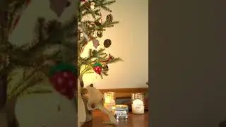 The Best Holiday Candles