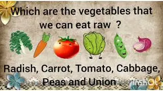 EVS conversation Questions & Answers for kindergarten (Part- 1)