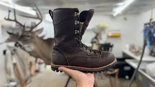 Irish Setter Elk Tracker **1 YEAR REVIEW**