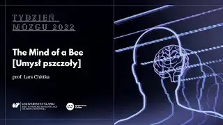 Umysł pszczoły / The Mind of a Bee | Lars Chittka