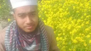 # সবার জন্য রইলো ভালোবাসার লাল গোলাপ 🌹🌹🌹