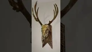 Dead Head Mount Done by DirtySquirrelforge
