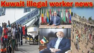 Kuwait illegal worker latest update today live, Kuwait ministry breaking news today live