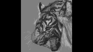 Microsoft Paint Speedpainting timelapse series : Episode 2 Tiger