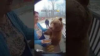 He&rsquo;s literally family now 😫🐻 #bear #grandma #bennythebear #funny #cute #cuteanimals #cops #police