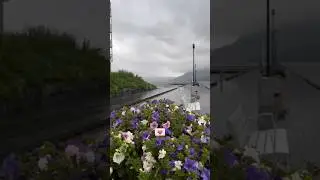 Milne ko tuzse bahane main karu || yariyann #nature song #trending