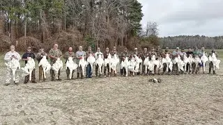 The BIGGEST tundra Swan hunt ever recorded (26 swans down)
