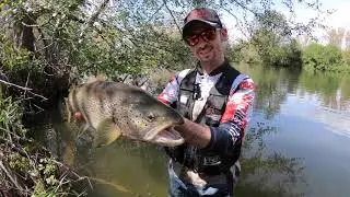 Pesca de Truchas con se&ntilde;uelos modernos | Truchas a Spinning