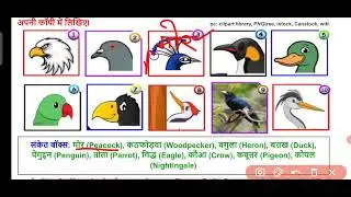 Class 3 | EVS Worksheet 134B |  16/12/2021 | FLYING HIGH | beaks of birds | Riddles