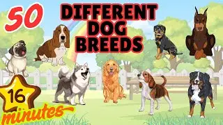 Different Breeds of Dogs | Learn Dog Types for Kids | Big & Small Dogs | Educational Video