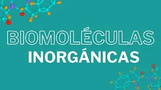 Biomoléculas inorgánicas: CLASIFICACIÓN Y FUNCIÓN