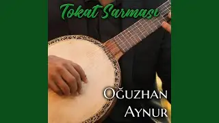Tokat Sarması