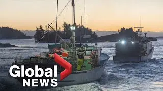 RCMP seek to de-escalate Nova Scotia lobster fisheries dispute