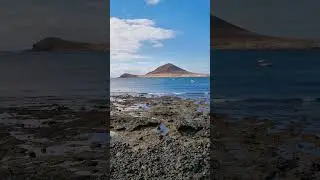 El M&eacute;dano - Teneriffa am 10.1.2026. 