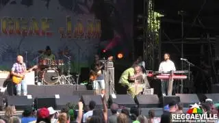 Loyal Flames - Focus @ Reggae Jam 2014