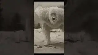 Snow Monster