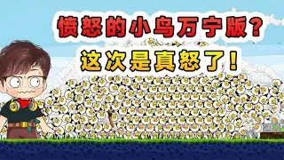 憤怒的小鳥萬寧版？ 這次是真怒了！